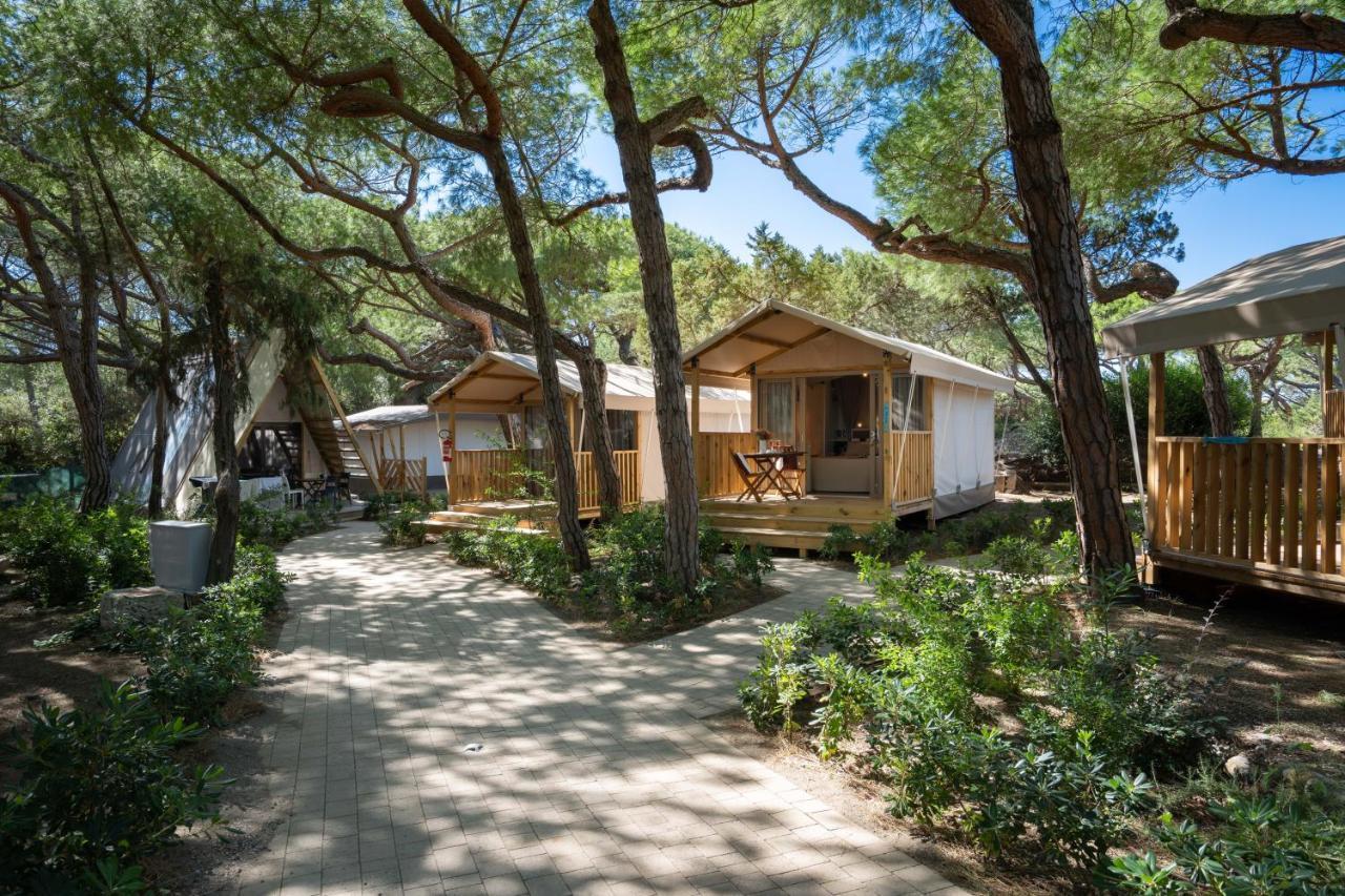 Camping Il Capannino Glamping Village Marina Di Bibbona Ngoại thất bức ảnh