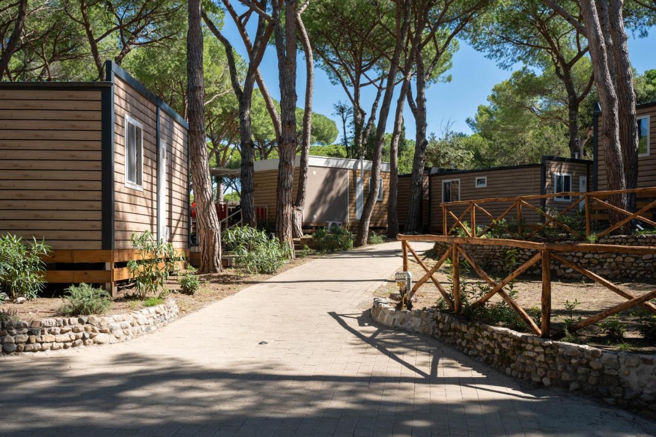 Camping Il Capannino Glamping Village Marina Di Bibbona Ngoại thất bức ảnh